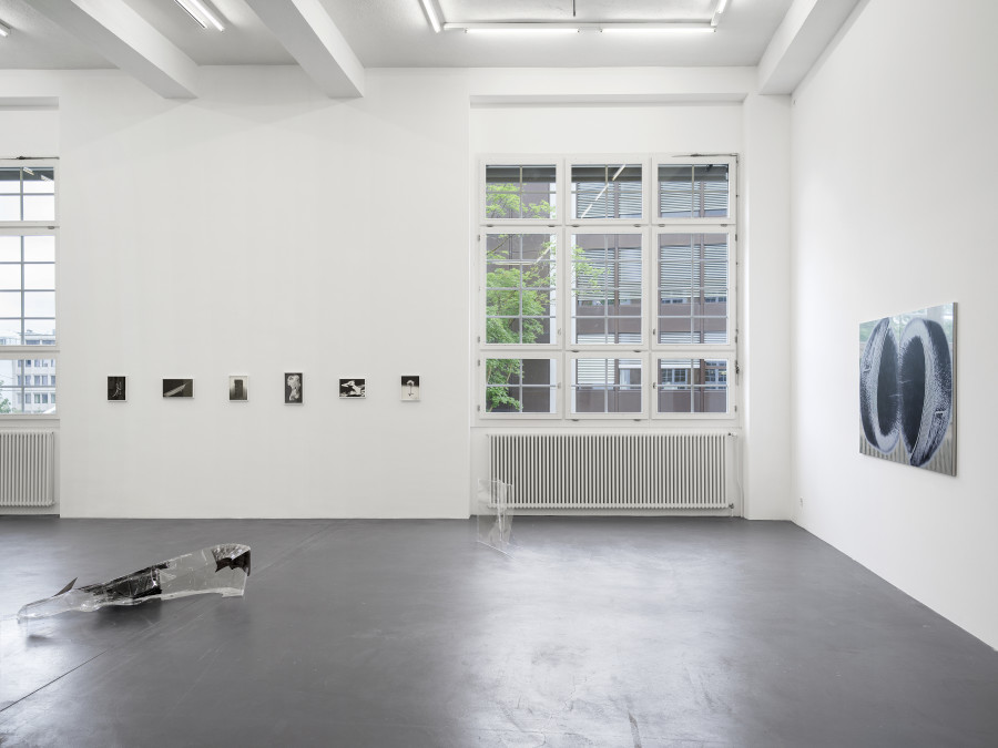 Installation view, Dietrich, curated by Anne Pontégnie, Galerie Francesca Pia, Zurich, 2024. Photo: Cedric Mussano