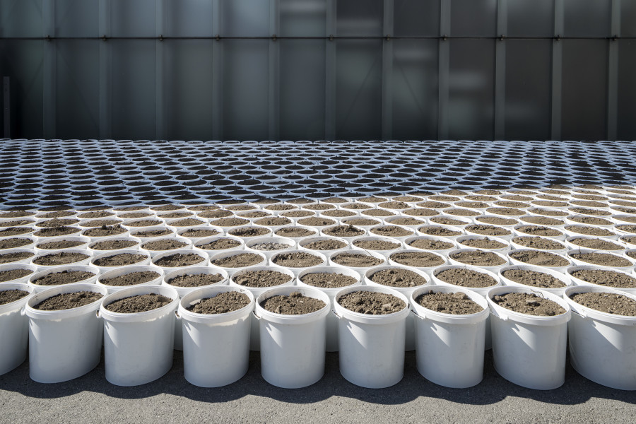 Lois Weinberger. Installation view KUB Square, Kunsthaus Bregenz 2021. Mobile Garden, 1994/2021. Photo: Markus Tretter. Courtesy of the artist. © Studio Lois Weinberger, Kunsthaus Bregenz