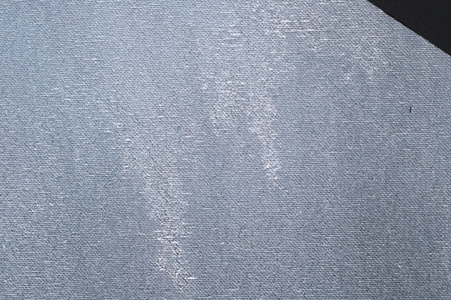 Exhibition view, Niels Hung, Curiosity Never Killed The Cat, Société des Arts de Genève, 2026.