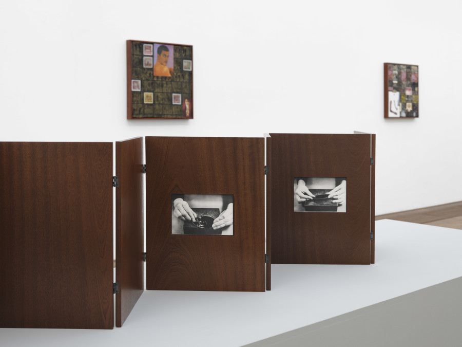 Troy Montes Michie, Culebra #1, 2025, detail, in: Troy Montes Michie, The Jawbone Sings Blue, Kunsthalle Basel, 2025, photo: Philipp Hänger / Kunsthalle Basel