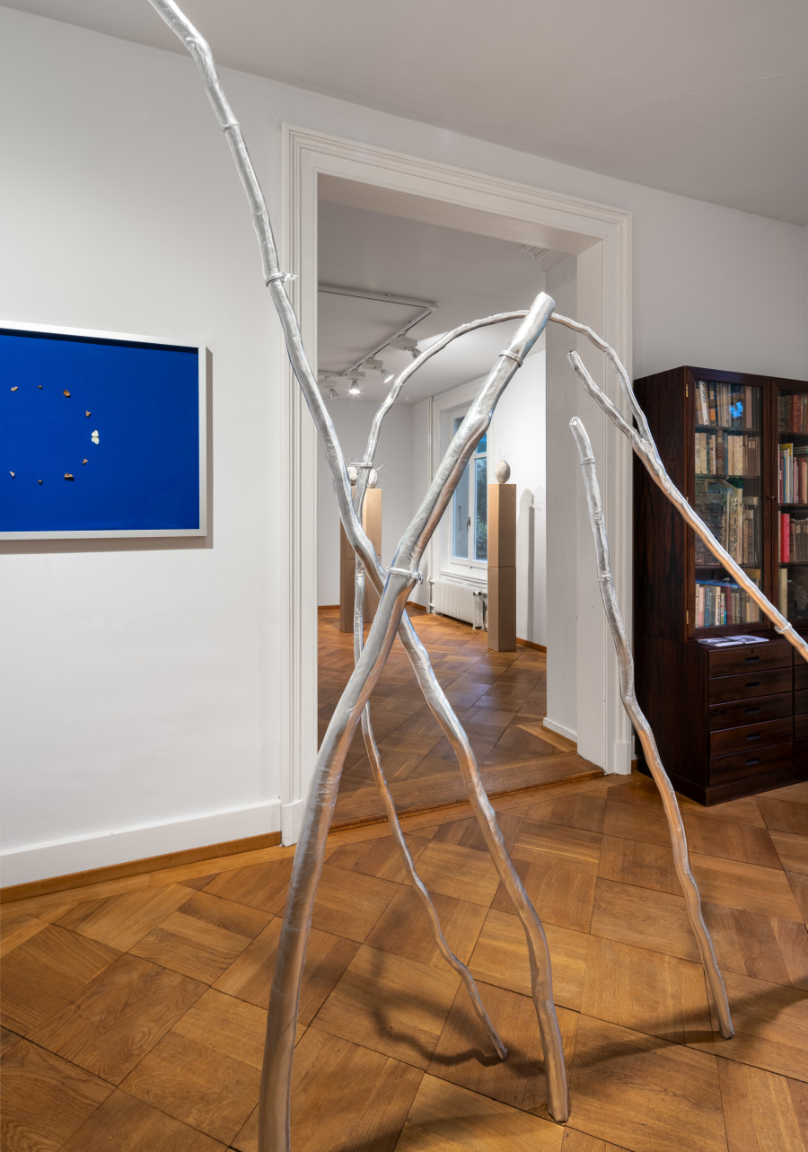Exhibition view, Manuela Morales Délano, Nachbarn, Kendra Jayne Patrick, Bern, 2025.