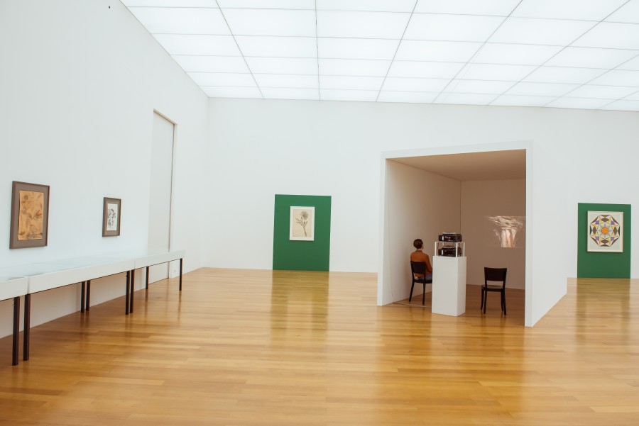 Exhibition view, Parliament of Plants, Kunstmuseum Liechtenstein. Photo: Sandra Maier. © Kunstmuseum Liechtenstein.