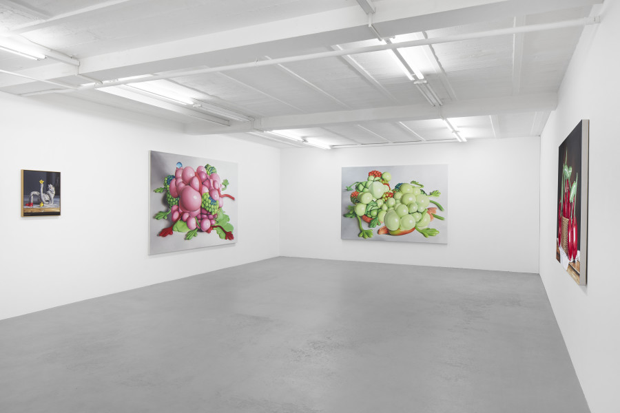 Exhibition view, Till Rabus, Cartoon, galerie lange + pult, Auvernier, 2025. Photo credit: Sully Balmassière