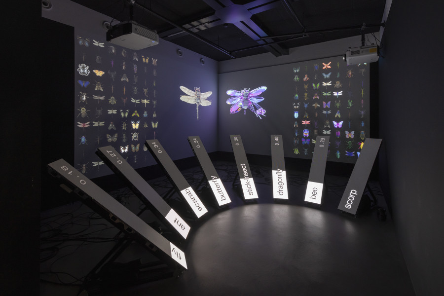 Dotdotdot, Data Bugs – AI is a mirror, 2024, «Other Intelligences», 2025, HEK, photo: Franz Wamhof
