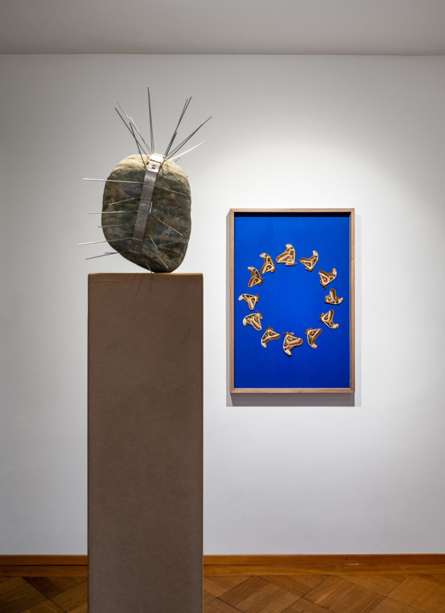 Exhibition view, Manuela Morales Délano, Nachbarn, Kendra Jayne Patrick, Bern, 2025.