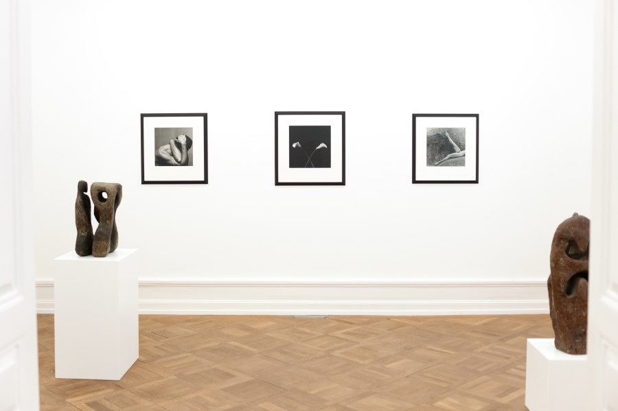 Robert Mapplethorpe and Sōfū Teshigahara: MAPPLETHORPE / TESHIGAHARA, Exhibition view, 2023, Mai 36 Galerie.