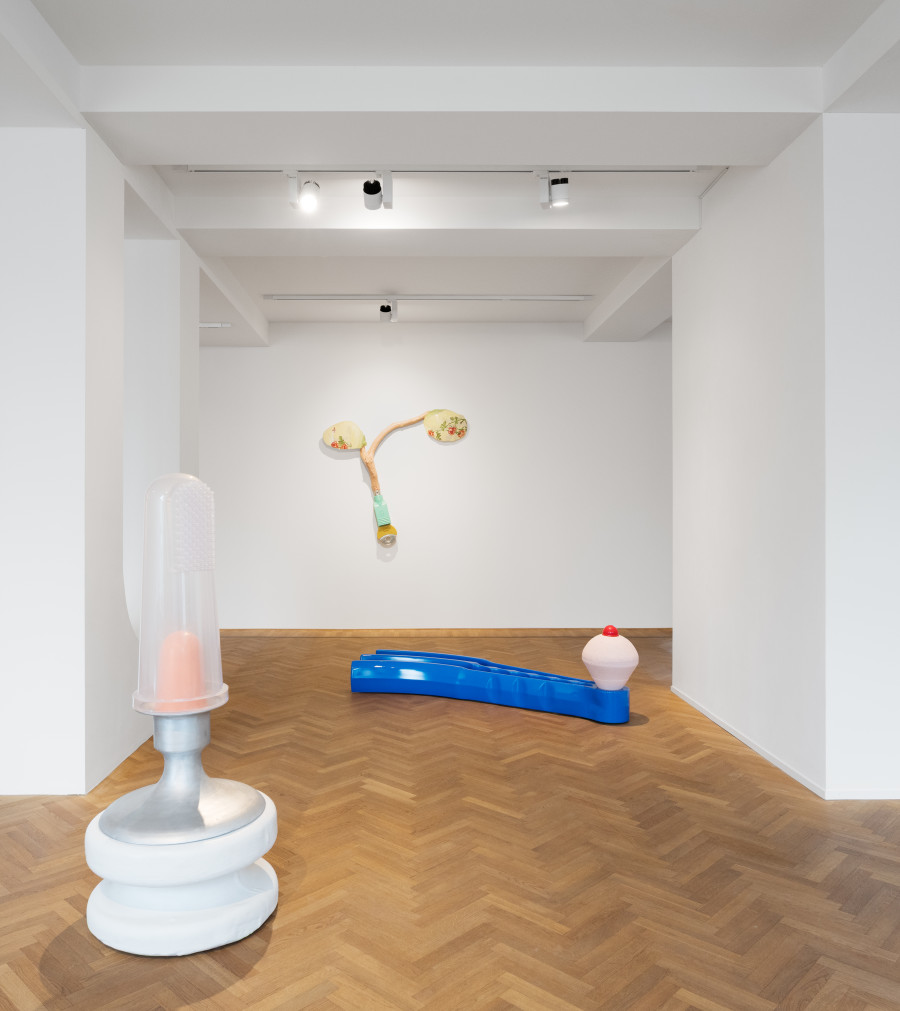 Installation view of Maria Ceppi, 'Chimära', 2025, Galerie Fabian Lang, Zürich. Courtesy of the artist and Galerie Fabian Lang. Copyright: © Fabian Lang