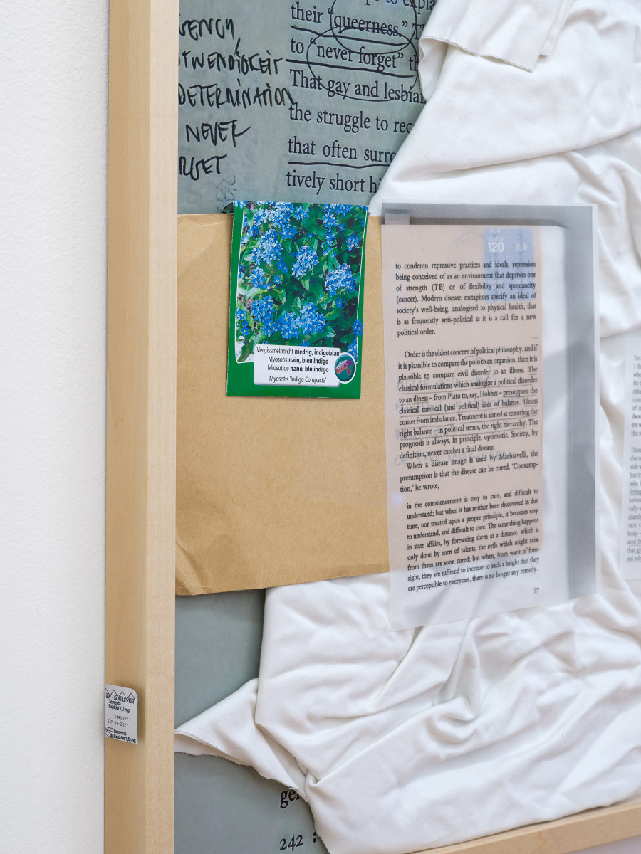 Alizé Rose-May, Did You Know That The Edelweiss Isn’t A Flower, But A Set Of A Thousand Florets Gathered Into Several Heads, installation view Stadtgalerie Bern, 2025. Photography: Cedric Mussano. Copyright and courtesy of the artists and Stadtgalerie, Bern