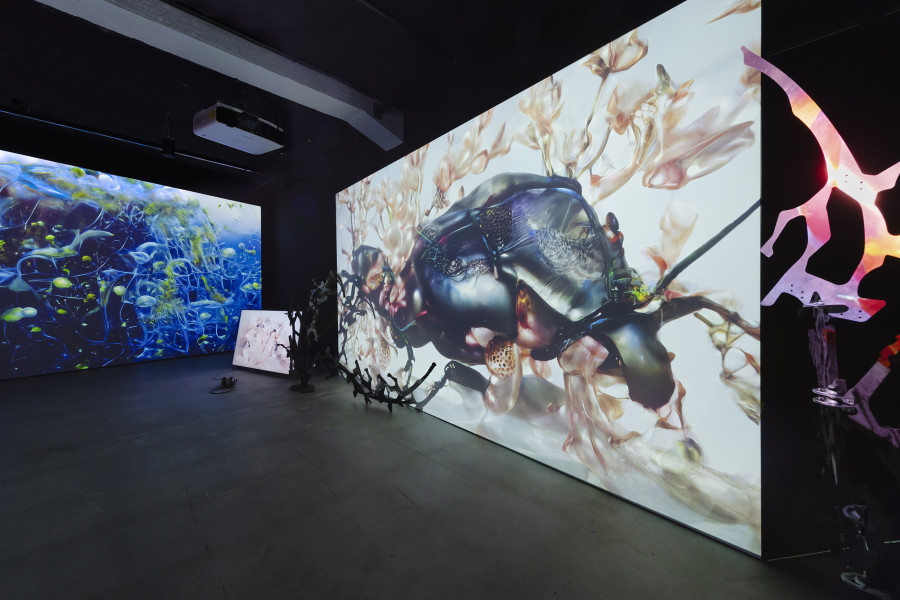 CROSSLUCID, Dwellers Between the Waters, 2023 – today, «Other Intelligences», 2025, HEK, photo: Franz Wamhof