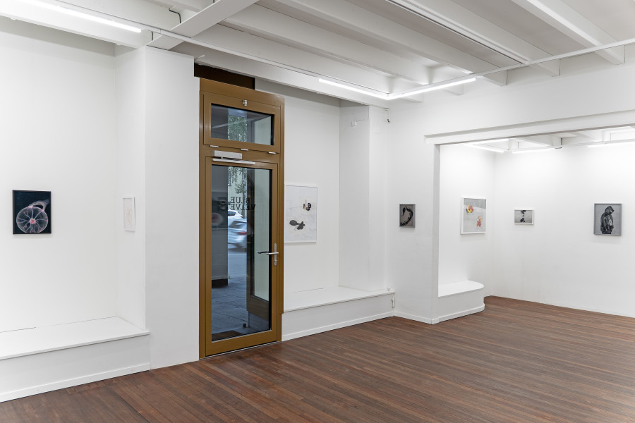 Exhibition views, Adam Cruces: Pastels, Blue Velvet, Zürich, Swiss, 2026. Photo: Adam Cruces