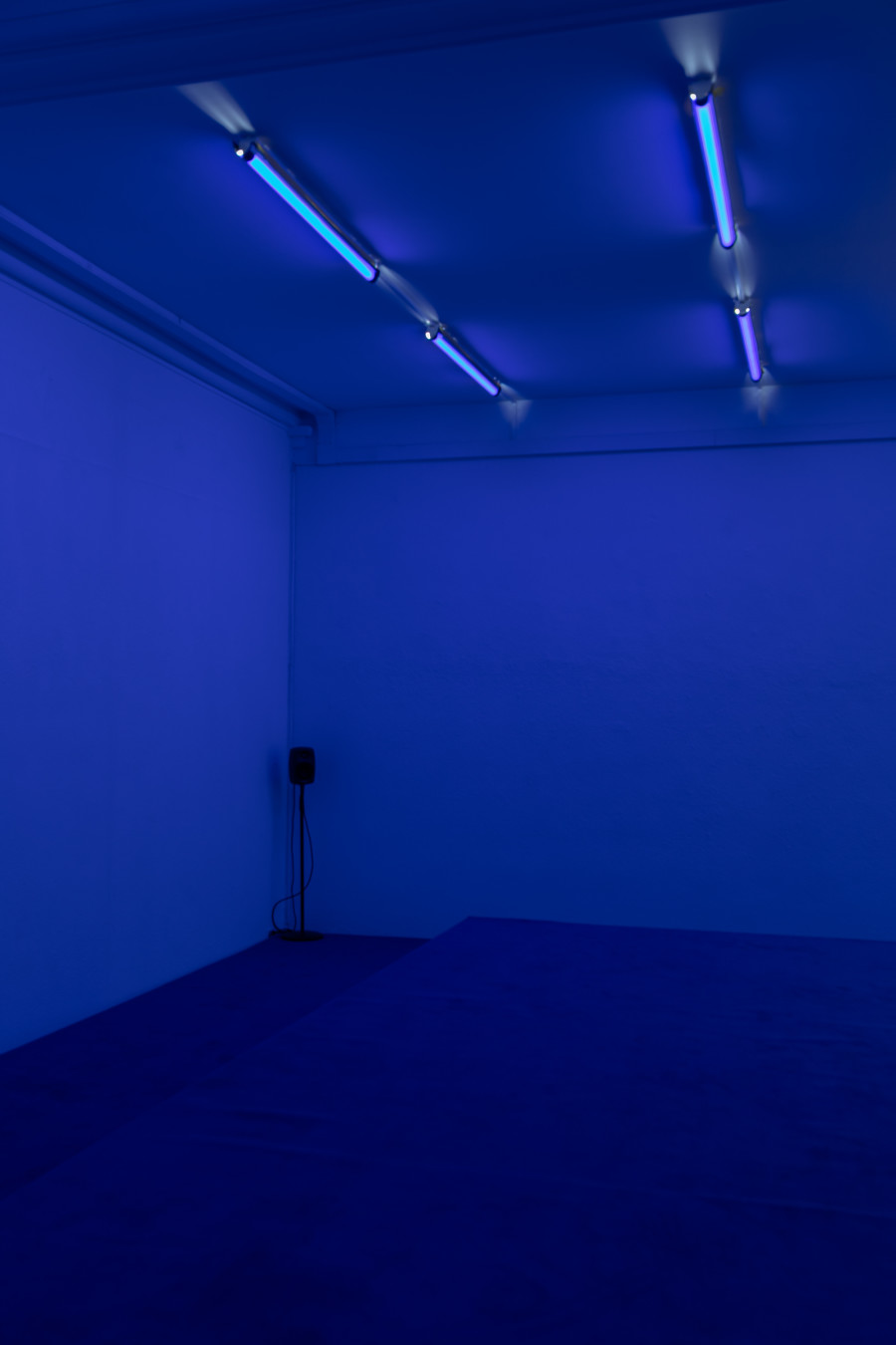 SOMA7, Yen Chun Lin, KRONE COURONNE, 2025. Photo credit: Michal Schorro