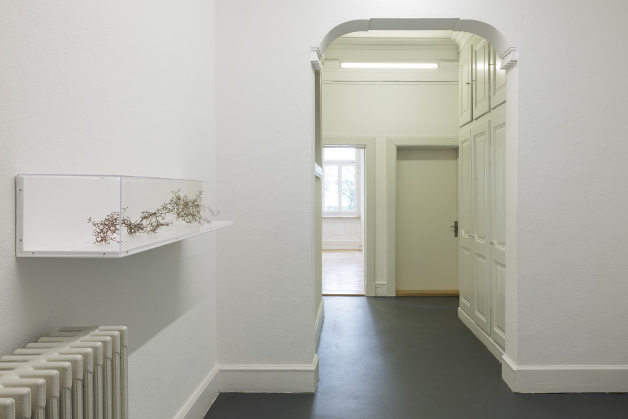 Exhibition view, Laura Langer, Parts Unknown, Galerie Oskar Weiss, Zürich, 2026. Photo credit: Gina Folly