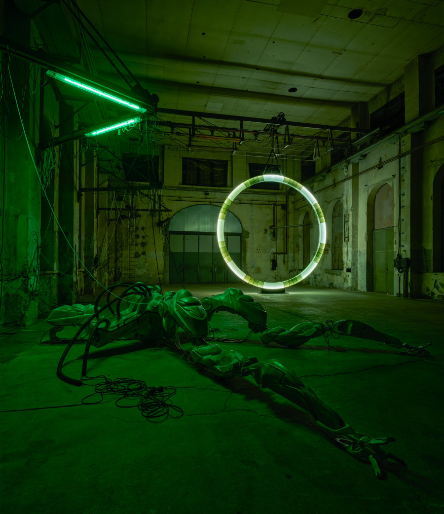 Davide Allieri: 47°24’35’’N / 9°44’20’’E, Kunstraum Dornbirn 2026, Photo Günter Richard Wett, courtesy of the artist/Galerie Hubert Winter