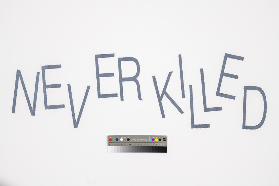 Exhibition view, Niels Hung, Curiosity Never Killed The Cat, Société des Arts de Genève, 2026.