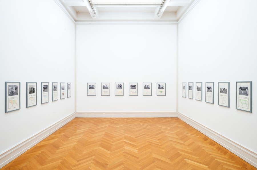 Exhibition view, Jef Geys, Kunsthalle Bern, 2021. Photo: Stefan Burger