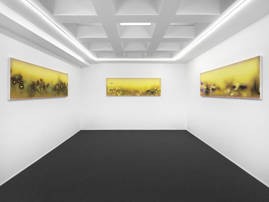 Exhibition view, Natacha Donzé, Predictive Meadows, galerie lange + pult, 2022. Photo: Julien Gremaud