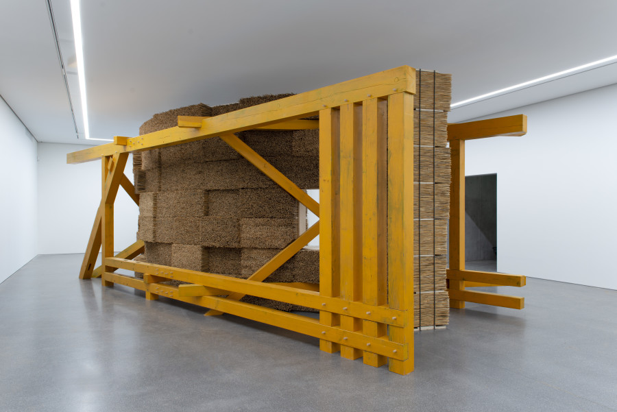 Olaf Holzapfel, Plant works, 2021, Museum of Fine Arts Chur