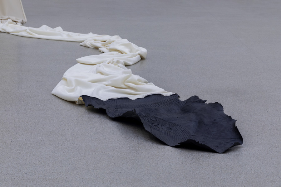 Gil Pellaton, Papi… papo…, 2022 Stahl, Stoff, Asche und Knochenleim / Acier, tissu, cendre et colle d’os / Steel, fabric, ash and bone glue, je / chacun / each 500 x 2000 cm, Courtesy the artist; Ausstellungsansicht / vue d’exposition / exhibition view Kunsthaus Centre d’art Pasquart, Fotos / photos: Guadalupe Ruiz