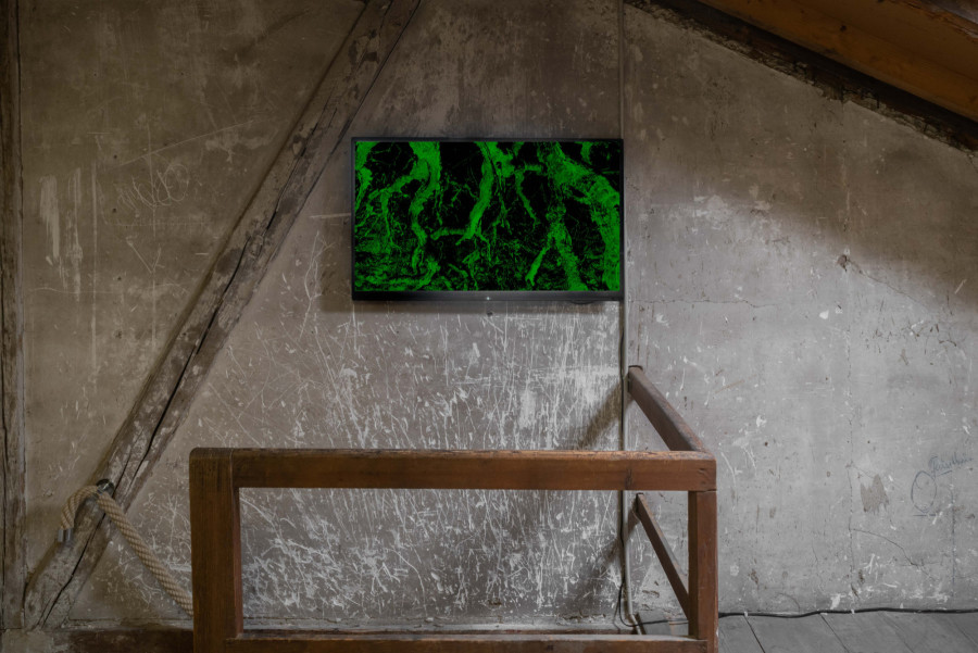 Veit Laurenz Kurz, Thyroxin, installation views. Photo: Flavio Karrer