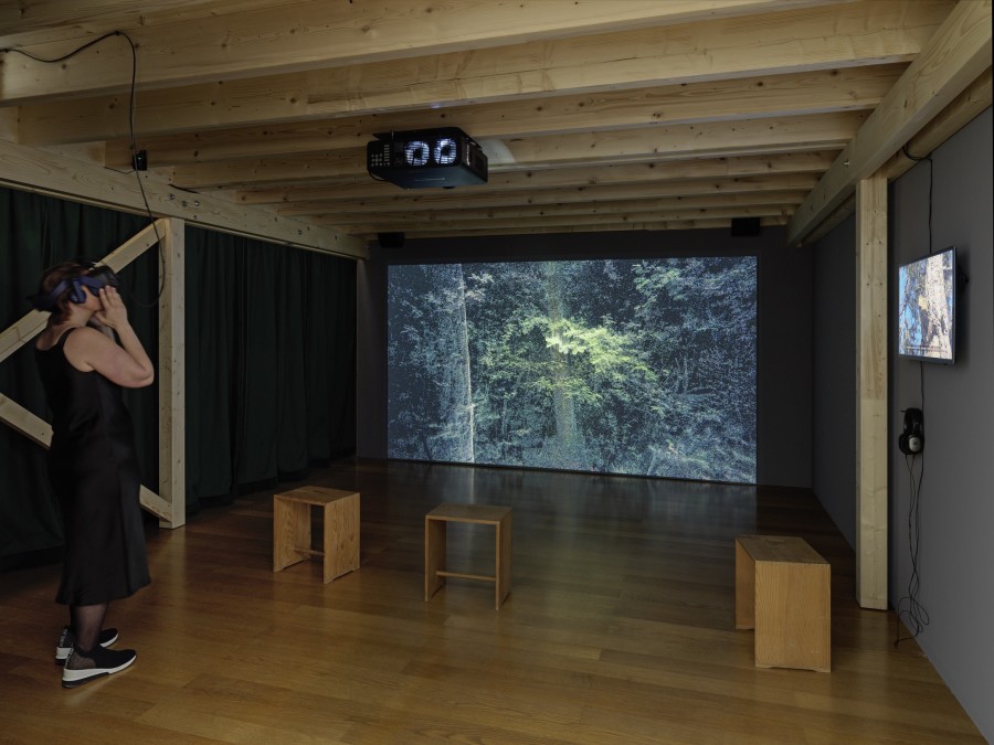 Exhibition view, Parliament of Plants II, Kunstmuseum Liechtenstein, Vaduz, 05.05.–22.10.2023, Photo: Stefan Altenburger Photography, Zürich.