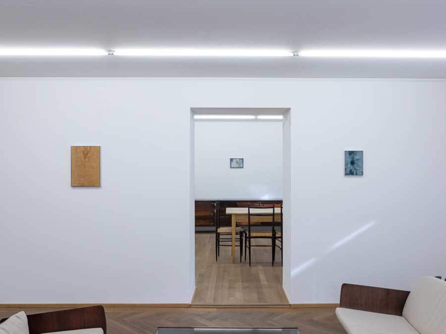 Poppy Jones: Interiors, Mai 36 Galerie, Installation view, 2022, Photo credits: Céline Hess