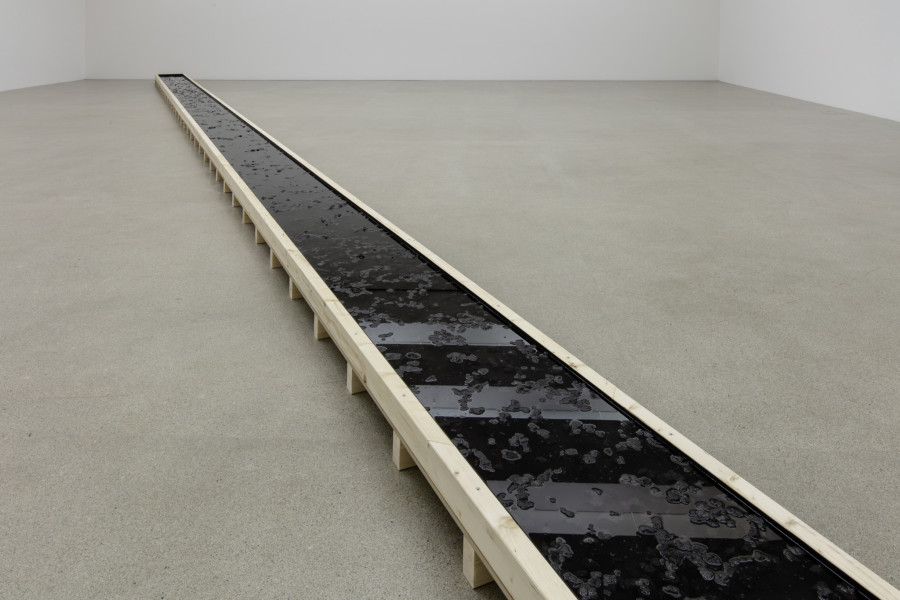 Miriam Sturzenegger, What Remains (Black Line), 2020, Steinkohlenkoks, Wasser, Salz, EPDM Gummimatte, Holz / Charbon à coke, eau, sel, tapis en caoutchouc EPDM, bois / Coal coke, water, salt, EPDM rubber mat, wood, Courtesy the artist