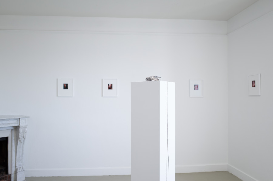 Iouri Podladtchikov & Elio Luxardo: You're Probably Right,Exhibition view, 2023, The Lighthouse, Photo credit: Iouri Podladtchikov.