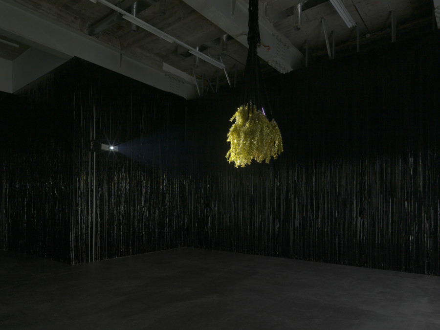 Installationsansicht / Installation view, Jacqueline Fraser, Kunsthalle Zürich, 2020.  Foto / Photography: Annik Wetter