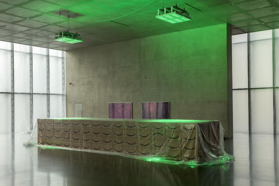 Pamela Rosenkranz, House of Meme, Installation view ground floor, Kunsthaus Bregenz, 2021, Photo: Markus Tretter, Courtesy of the artist © Pamela Rosenkranz, Kunsthaus Bregenz