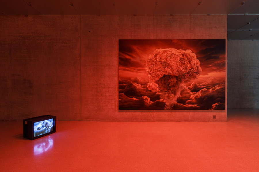 Anne Imhof, Installation view first floor Kunsthaus Bregenz, 2024. Photo: Markus Tretter. Courtesy of the artist, Galerie Buchholz, Sprüth Magers © Anne Imhof, Kunsthaus Bregenz