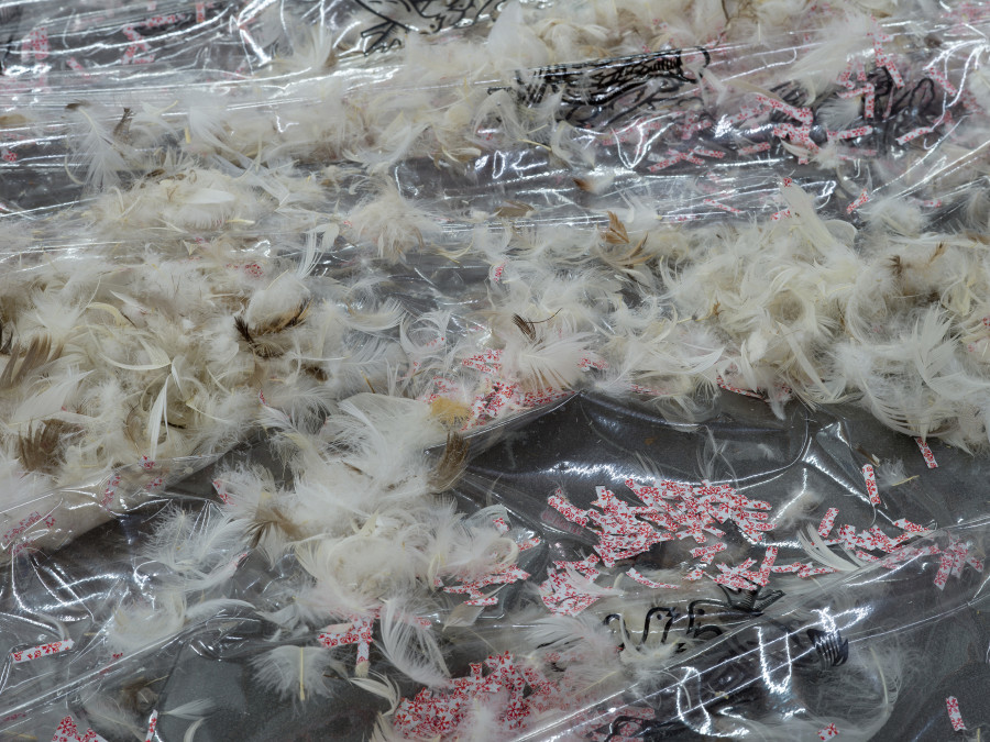 Jason Dodge, detail view, Kunsthalle Friart Fribourg, 2026. Photo: Cedric Mussano