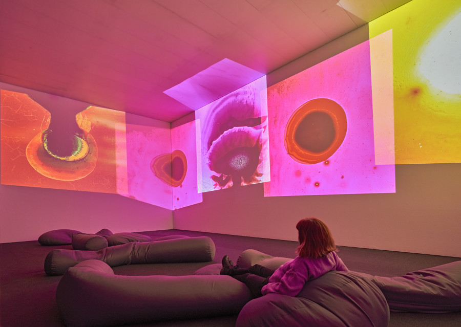 Otto Piene, The Proliferation of the Sun, 1966/1967, 6 projections and sound; digital copies of the hand-painted glass slides from 1966/1967, 25 min. 4 Gift of the Fôrderkreis für Gegenwartskunst im Kunstverein Bremen 1998 and the artist. Installation view Otto Piene.· Paths to Paradise at Museum Tinguely, Base!, 2024. © 2024 ProLitteris, Zurich: Otto Piene Estate. Photo: 2024 Museum Tinguely, Base!; Daniel Spehr