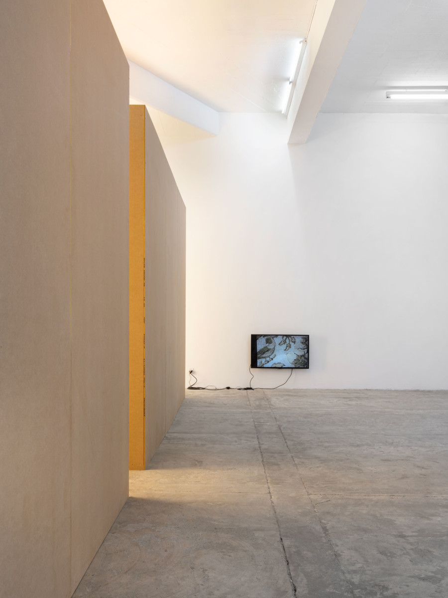 Installation view at CIRCUIT, Centre d’Art Contemporain, Lausanne. Photo: Julien Gremaud. Courtesy the artist and CIRCUIT