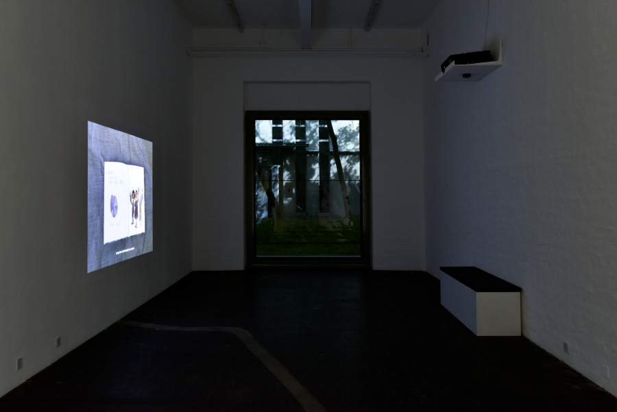 Gernot Wieland, Thievery and Songs, 2016. Courtesy: the artist. Photo: Kunst Halle Sankt Gallen, Sebastian Schaub