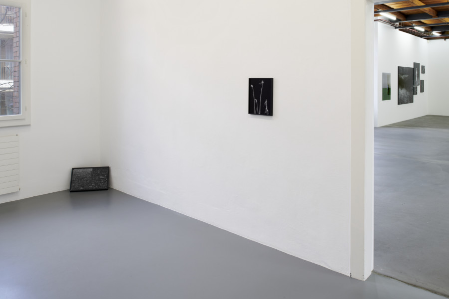 Exhibition view, Cécile Monnier, des nuits sans silence, Kunsthalle Friart Fribourg, 2022/23. Photo : Guillaume Python