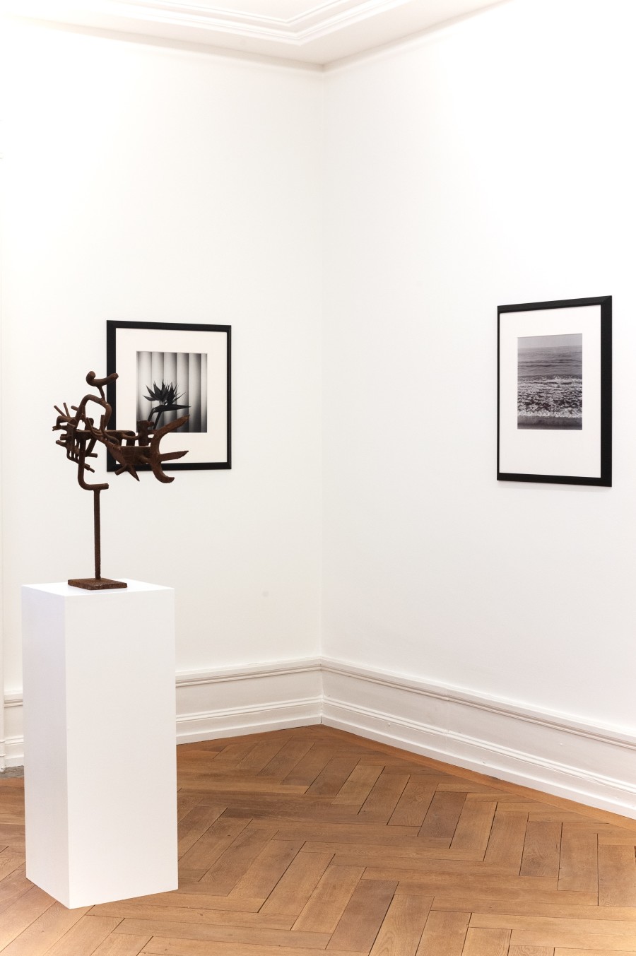 Robert Mapplethorpe and Sōfū Teshigahara: MAPPLETHORPE / TESHIGAHARA, Exhibition view, 2023, Mai 36 Galerie.