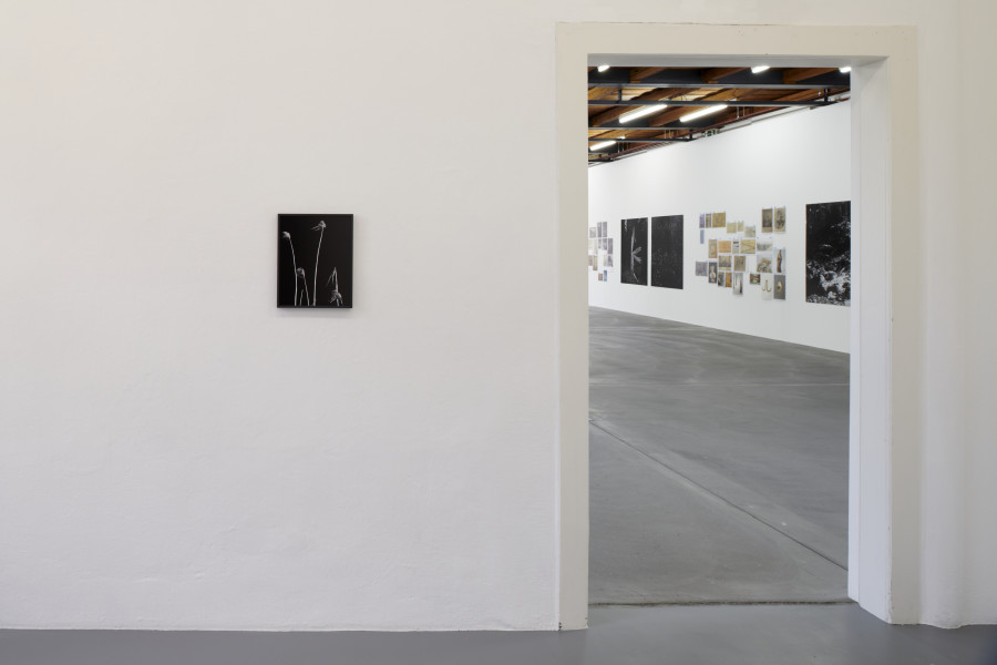 Exhibition view, Cécile Monnier, des nuits sans silence, Kunsthalle Friart Fribourg, 2022/23. Photo : Guillaume Python