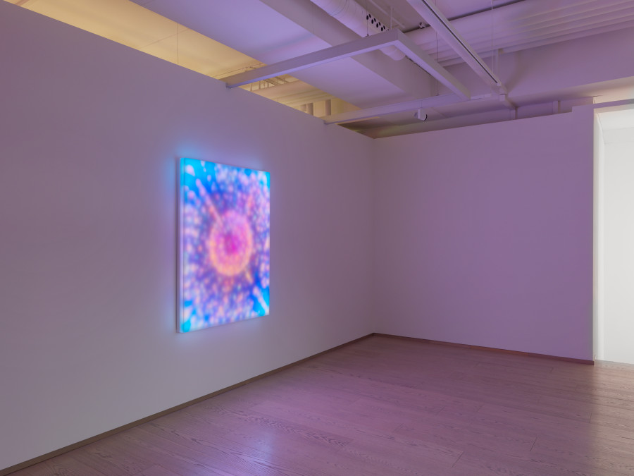 Installation View, Leo Villareal: Nebulae, Jan 24 – Mar 18, 2023, Pace Gallery, Geneva © Leo Villareal, Geneva, 2022, Photo: Annik Wetter, courtesy Pace Gallery