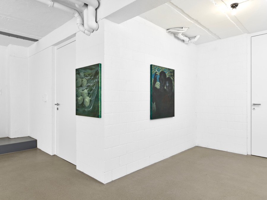 Exhibition view, David Weishaar, Eyelids, towards Night, flatmarkus, Zürich, 2026.