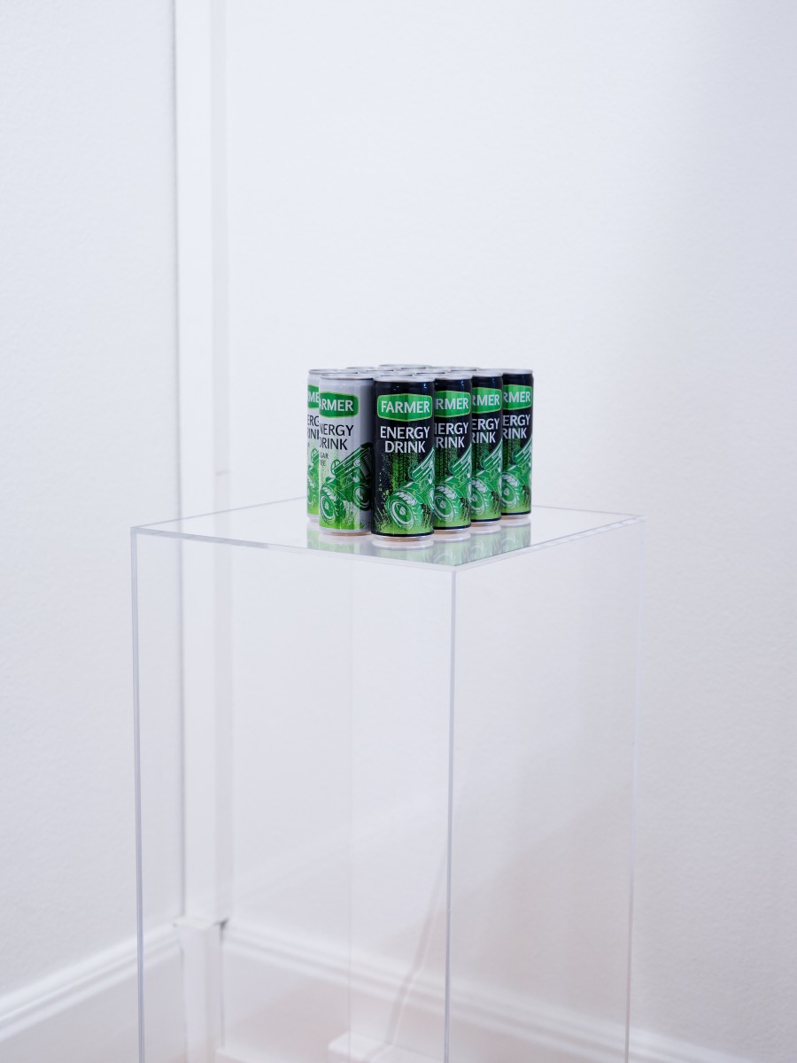 Sissybars: Lukas Weithas, Installation views, 2023-2024, BELETAGE Art Space. Photo: Matthias Guido Braudisch, courtesy BELETAGE Art Space, Zürich