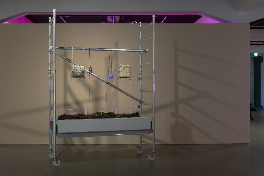 Susanne Hartmann, Experiments III, 2025, «Other Intelligences», 2025, HEK, photo: Franz Wamhof