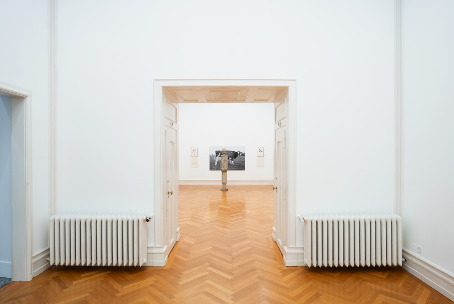 Exhibition view, Jef Geys, Kunsthalle Bern, 2021. Photo: Stefan Burger