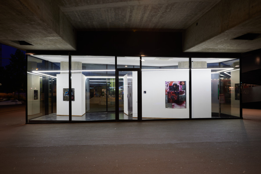 Ebun Sodipo, The Edge Sheen of a Cut, 2023. Installation view. VITRINE Basel. Photographer: Moritz Schermbach.