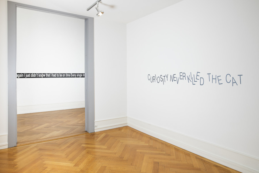 Exhibition view, Niels Hung, Curiosity Never Killed The Cat, Société des Arts de Genève, 2026.