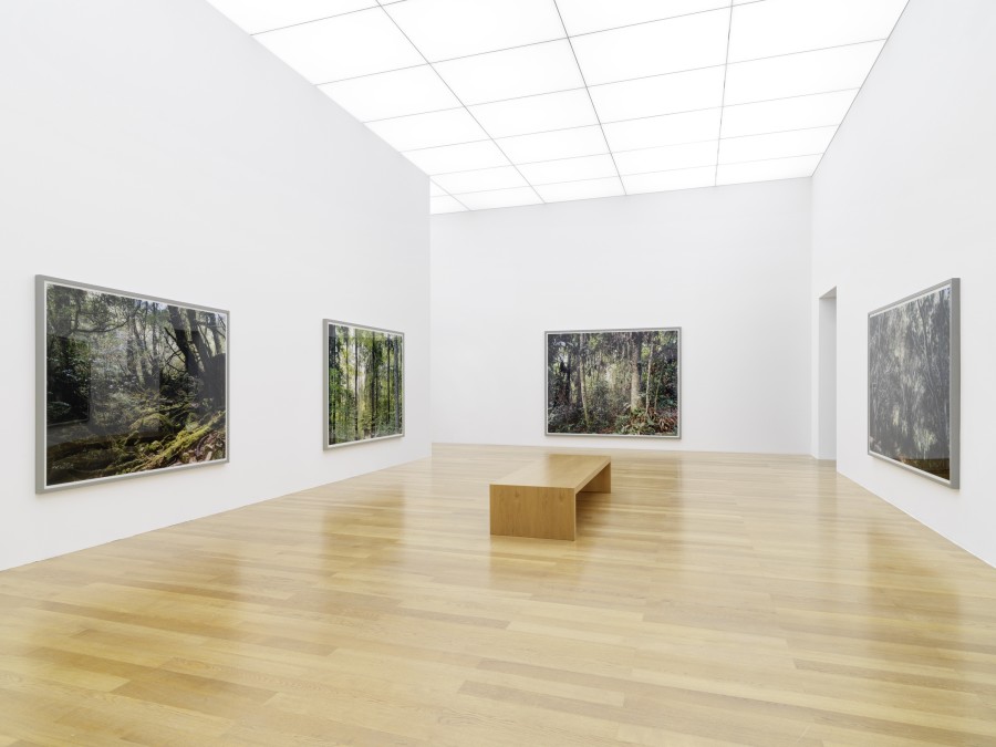 Exhibition view, Parliament of Plants II, Kunstmuseum Liechtenstein, Vaduz, 05.05.–22.10.2023, Photo: Stefan Altenburger Photography, Zürich.