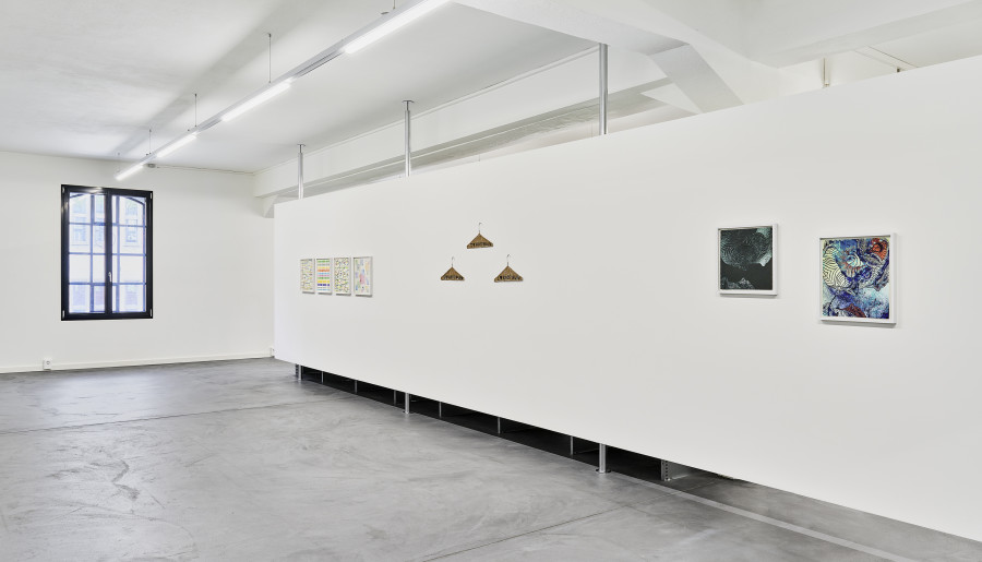 Installation view "Beyond Imagery", with artworks by Wade Guyton, Thomas Hirschhorn, Laura Arminda Kingsley, Mingjun Luo, Olga Titus, and Beat Zoderer. Edition VFO, 2024. Photo: Bernhard Strauss