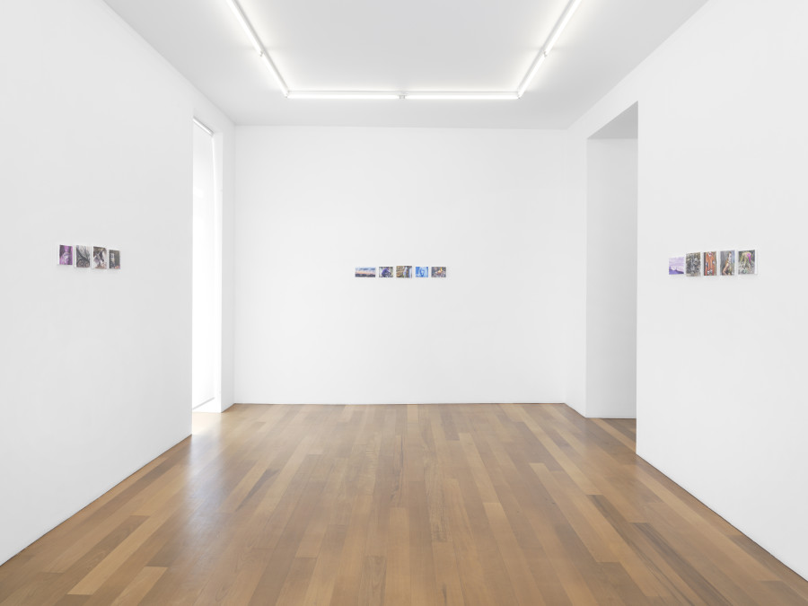 Exhibition view, Robert Devriendt, The Missing Script 4. Exit Highway, xippas, 2022. Photo credit: Julien Gremaud