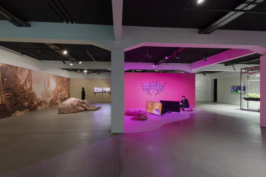 Exhibition view «Other Intelligences», 2025, HEK, photo: Franz Wamhof