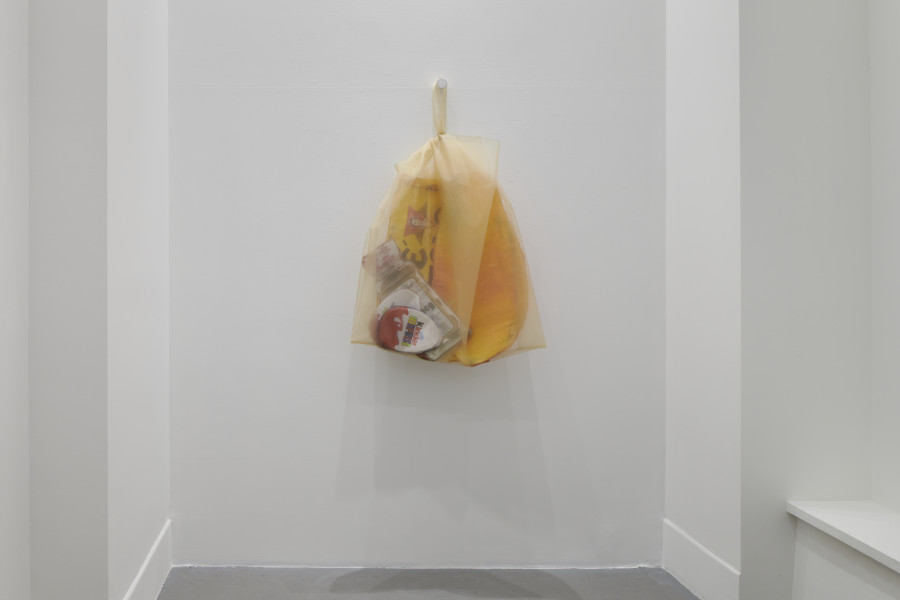 Lucia Hierro: M, Installation view, 2022, Fabienne Levy gallery, Photos: Guillaume Python