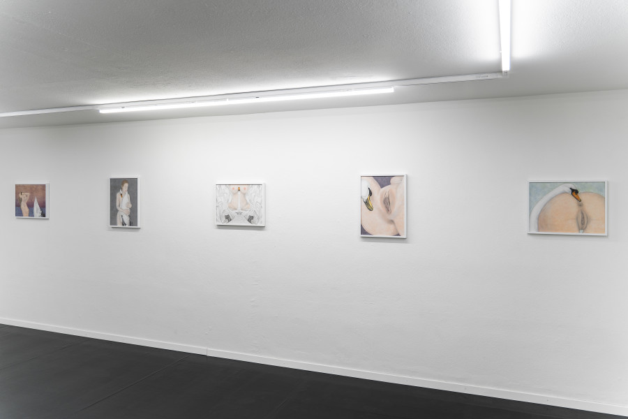Exhibition views, Adam Cruces: Pastels, Blue Velvet, Zürich, Swiss, 2026. Photo: Adam Cruces